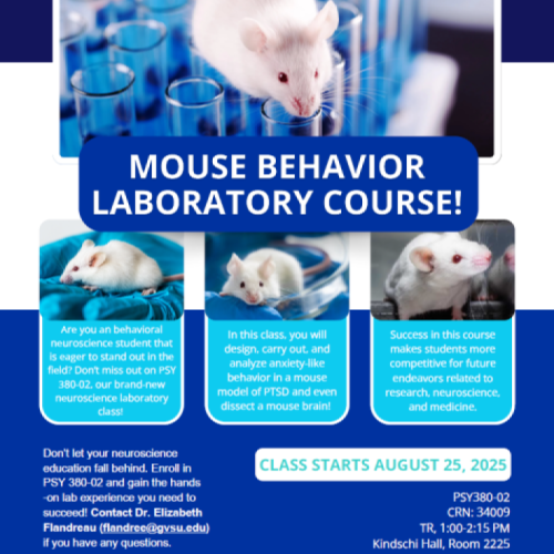 New BNS Lab Course Fall 2025